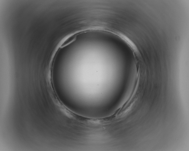 X0000111160956200907071126