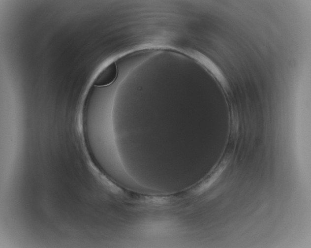 X0000111160958200907071126