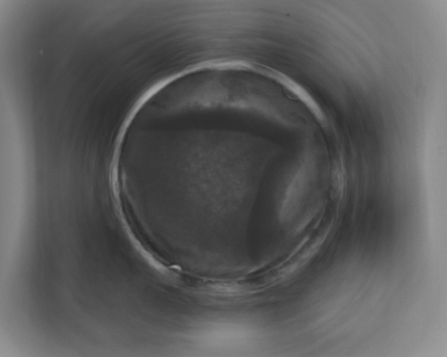 X0000111160959200907071126