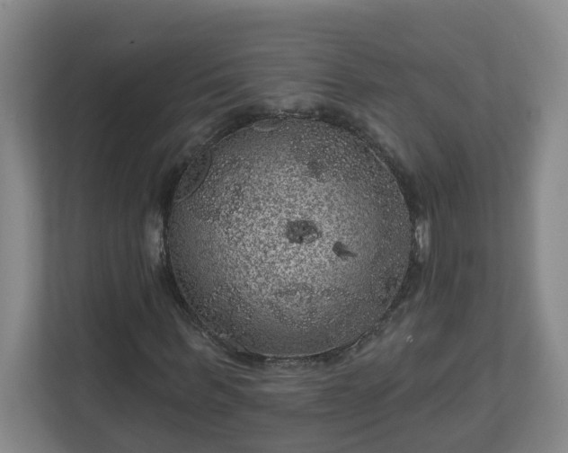 X0000111160963200907071126