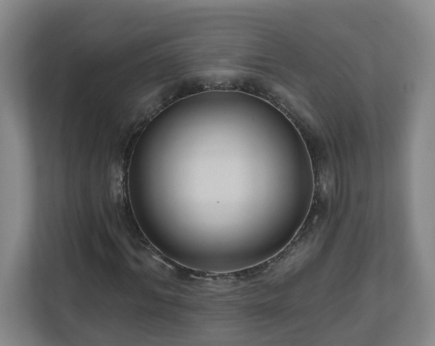 X0000111160964200907071126