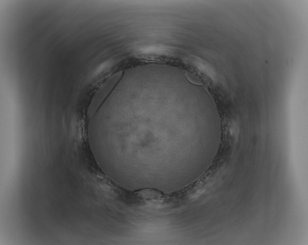 X0000111160965200907071126