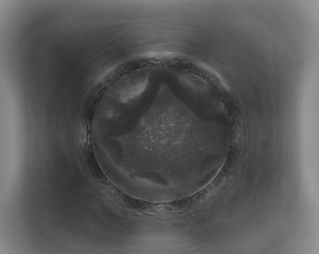 X0000111160966200907071126