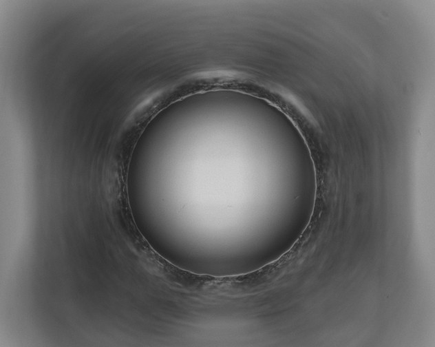 X0000111160967200907071126