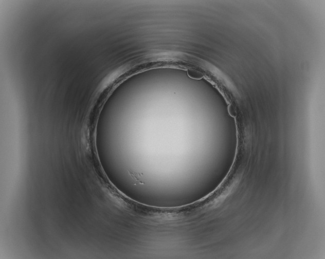X0000111160970200907071125