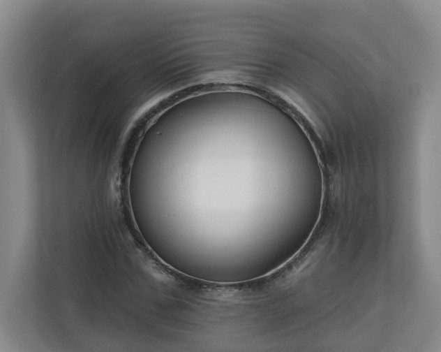 X0000111160971200907071125