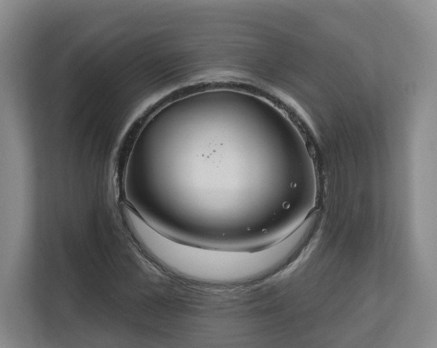 X0000111160973200907071125
