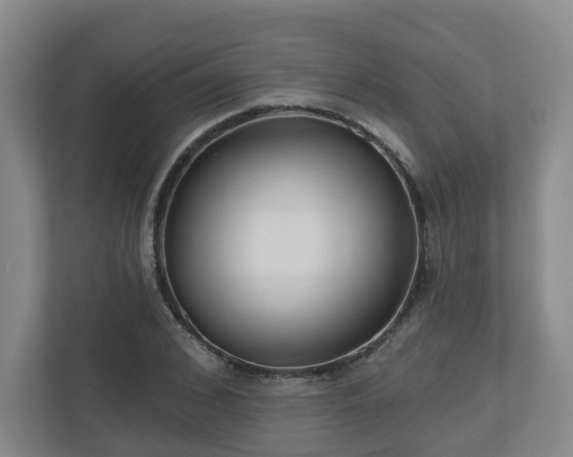 X0000111160976200907071125