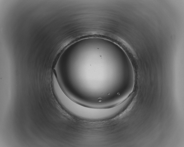 X0000111160977200907071125
