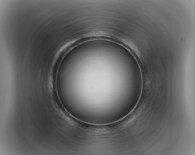 X0000111160979200907071125