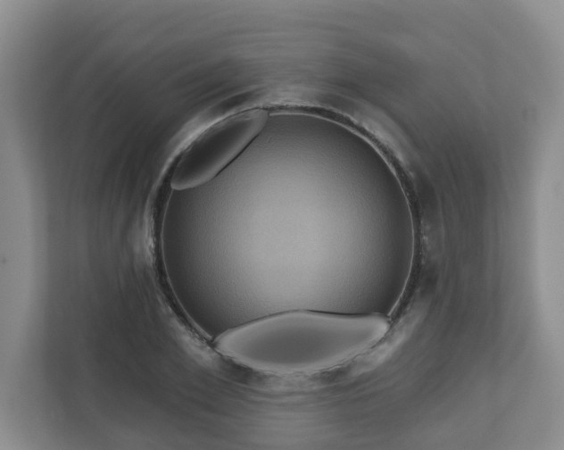 X0000111160981200907071125