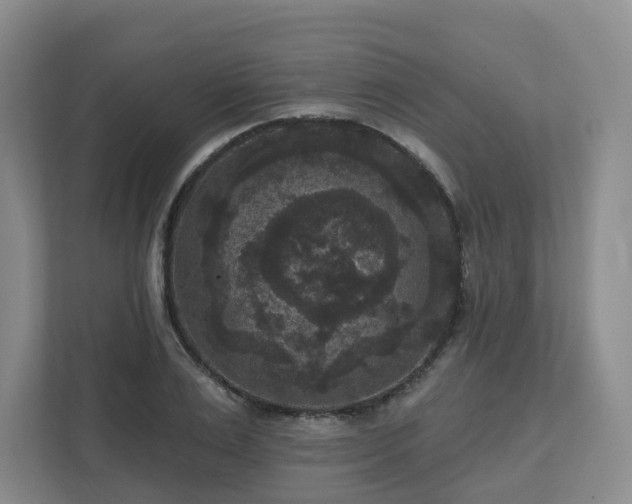 X0000111160983200907071125