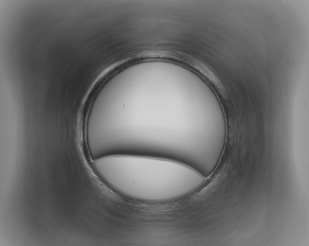 X0000111160984200907071125