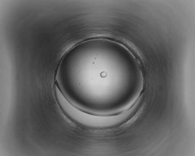 X0000111160985200907071125