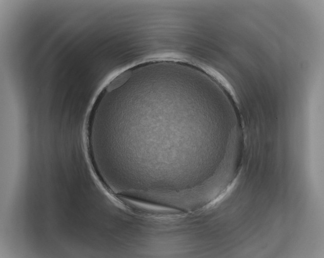 X0000111160989200907071125