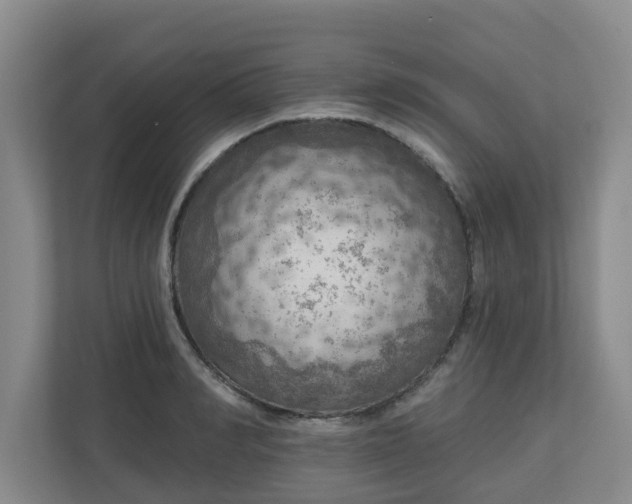 X0000111160990200907071125