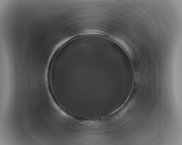 X0000111160995200907071125