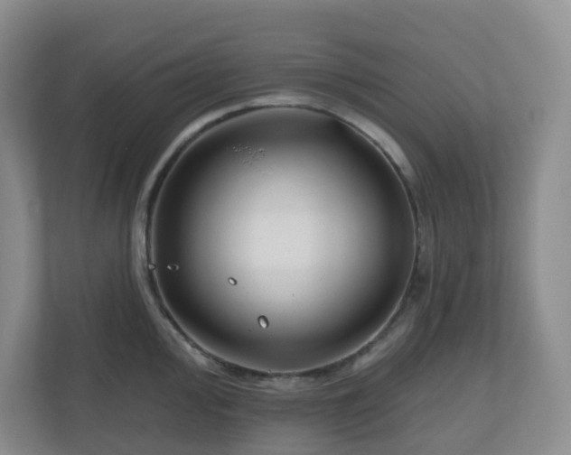 X0000111161000200907071125