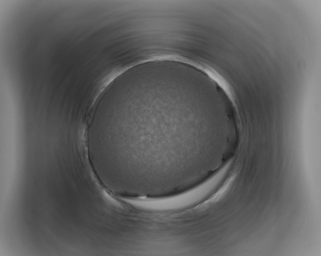 X0000111161001200907071125