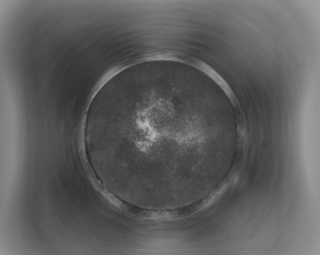 X0000111161002200907071125