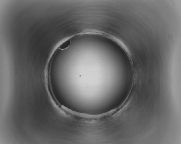 X0000111161003200907071125