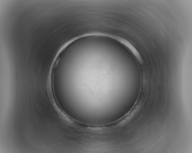 X0000111161004200907071125