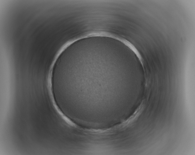 X0000111161005200907071125