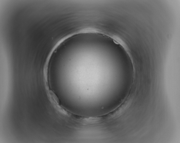 X0000111161008200907071125