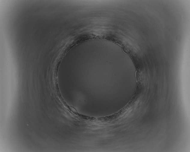 X0000111161009200907071124