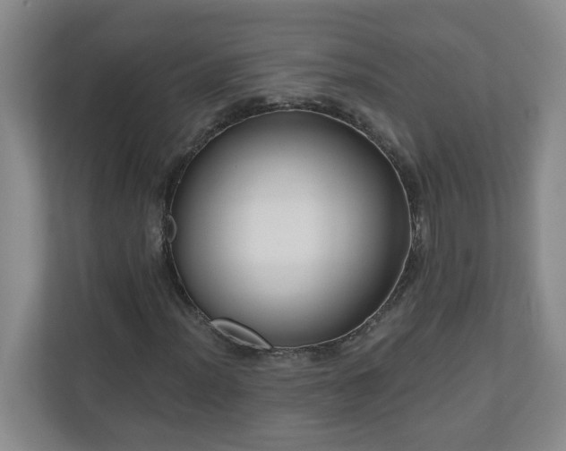 X0000111161012200907071124