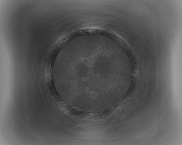 X0000111161014200907071124