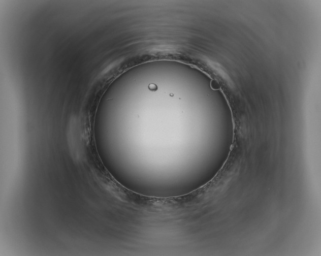 X0000111161015200907071124