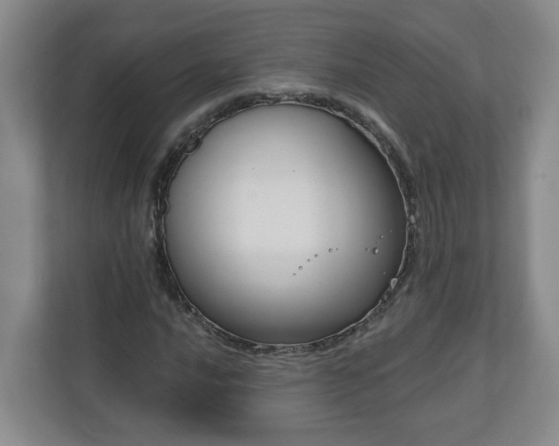 X0000111161016200907071124