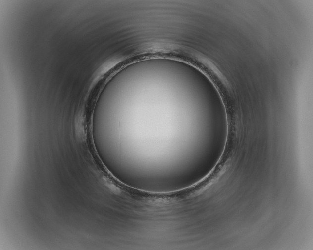 X0000111161018200907071124