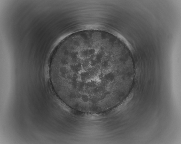 X0000111161019200907071124