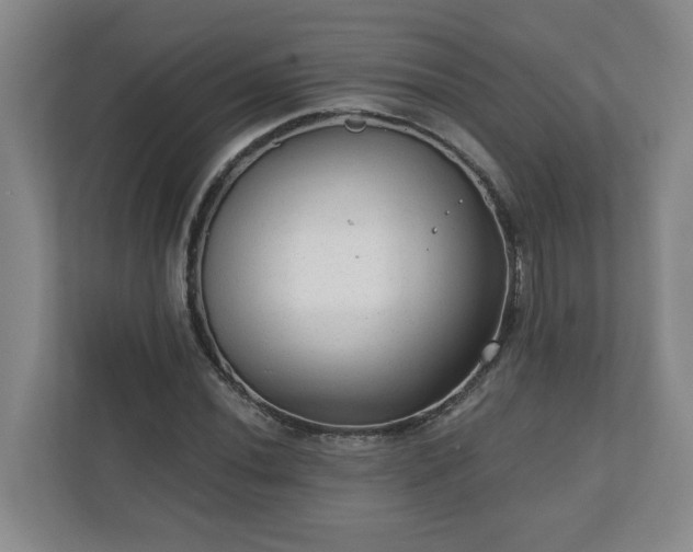 X0000111161020200907071125