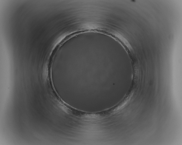 X0000111161023200907071125