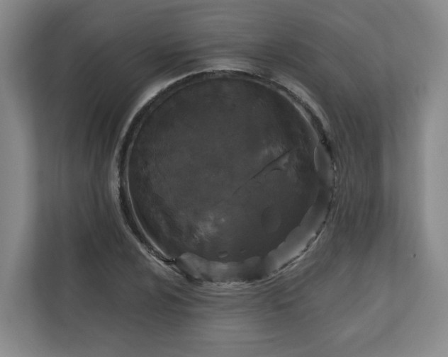 X0000111161024200907071125