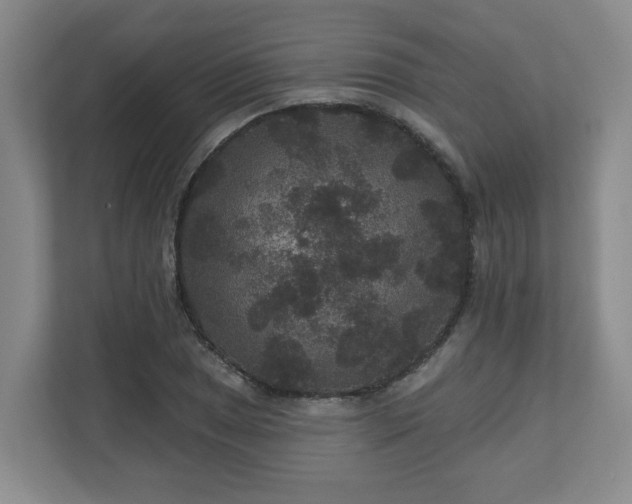 X0000111161025200907071125