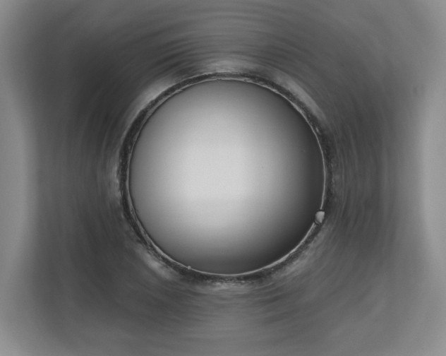 X0000111161026200907071125
