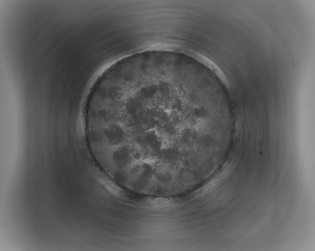 X0000111161027200907071125