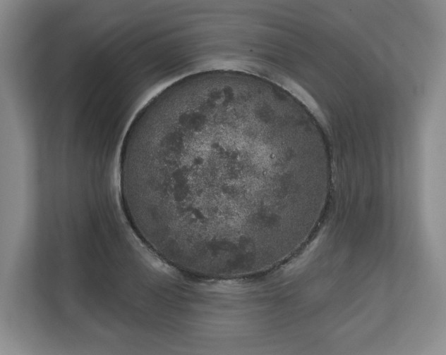 X0000111161028200907071125
