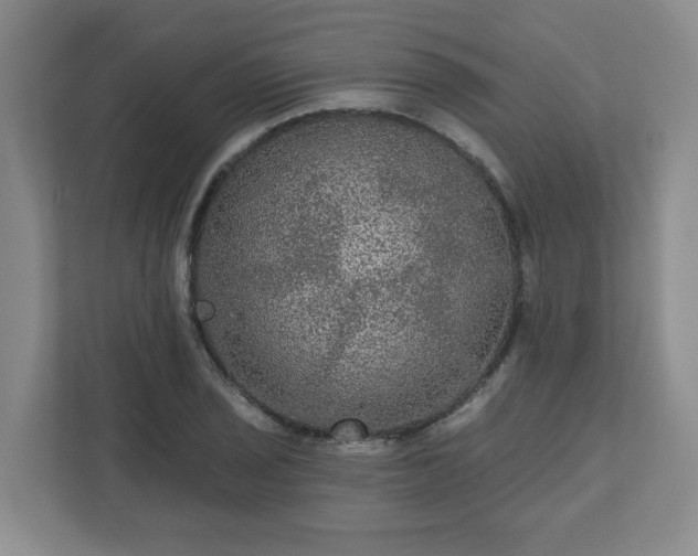 X0000111161029200907071125