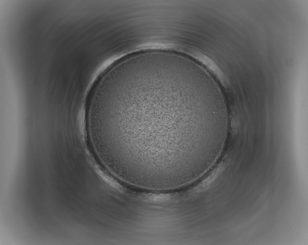 X0000111161030200907071125