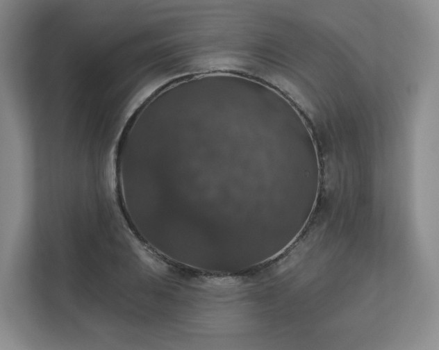X0000111161031200907071125