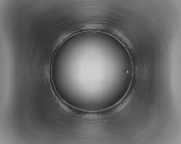 X0000111161033200907071125
