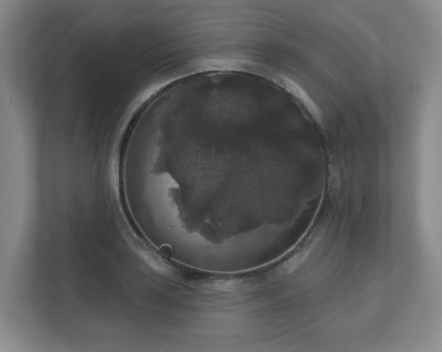 X0000111161035200907071125