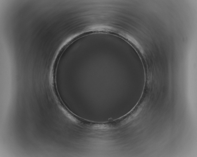X0000111161037200907071125