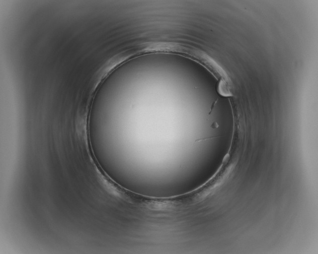 X0000111161041200907071125