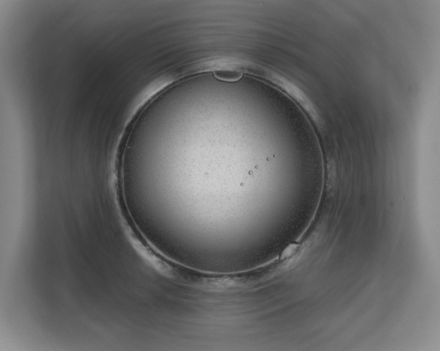 X0000111161042200907071125
